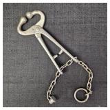 Stainless Bull Lead w/ Chain