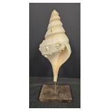 Lg Resin Sea Shell on rod & wood base