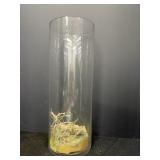Clear Glass Cylinder Vase