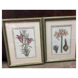 Floral prints green /gold frames