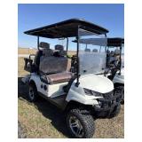 Electric 4 Passenger Golf Cart