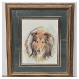 VTG Framed Print of a Collie Dog by Julia Grainer