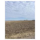 77 Acres productive farmland