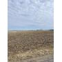 ONLINE LAND AUCTION IN WANATAH INDIANA