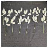 (13) Studio His & Hers White Florals