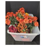 Artificial flowers, variety of colors in plastic