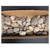Lg variety of Fossil rocks, Rocks & Minerals book