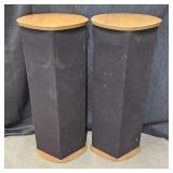 (2) VTG DCM Time Window 1A Loudspeakers