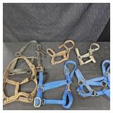 (6) Various Sized Nylon Halters