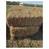 Alfalfa Mix Hay