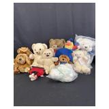 Variety of Plush Bears