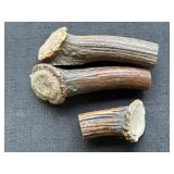 Deer Antler Sections w/ Burr