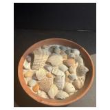 Sand & Shell Display