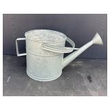 Galvanized water can used as a planter