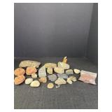 Natural Rocks & Potential Fossils
