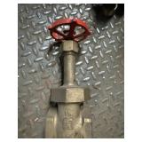 1-1/2in Brass Gate Valve