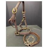 Brown Leather Halter w/ Chain Leather Lead