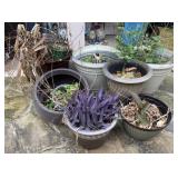 Composite & Plastic Planter Pots