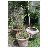 Resin & Composite Planter Pots