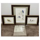 Christina Smith Signed & Numbered Bird Prints