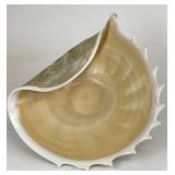 Hand Blown Art Glass Conch Shell Centerpiece