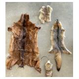 Selection of Animal Pelts & Novelty Item