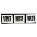 Framed Signed & Dated Photographs - Ken Frederick