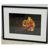 Framed Signed & Dated Photographs - Ken Frederick