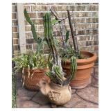 Decorative Terracotta Planters