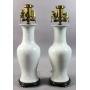 Pair of floral decorated porcelain vases
