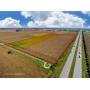 80 Acre PRIME Farmland Auction