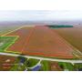 73.4 Total Acres  PRIME Farmland Auction