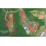 LakeWatch Plantation Auction