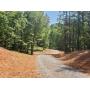 180.9 Acres Land for Auction