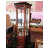 CURIO CABINET 24" X 72"