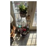 Plant stand & Plants