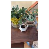 3 plants