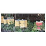 LG Lot of Bee Boxes