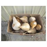 Box of Gourds