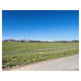 4.75 Acres m/l - Tract 9