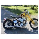2006 Titan Von Zipper Chopper