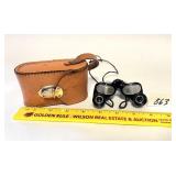 A Skyline 7 x 18 binoculars with case - Located