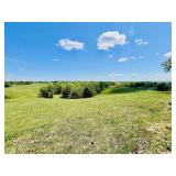 TRACT #2: Offers 6.78 acres, m/l