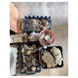 Group lot of rocks & shells     Located in Cabin