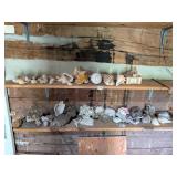 Group lot of shells & rocks     Located in Cabin