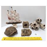 Natural Barnacle, shell art, turtle shell &