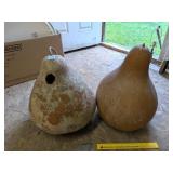 (2) Large Gourds, one converted to bird house