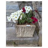 (2) Concrete Planters      Located on Front Porch