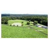 65 AC. M/L UNRESTRICTED ACREAGE PRIVATE HOMESTEAD!