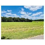 Vacant Clear Land - 0.81 Acres m/l - Tract 2